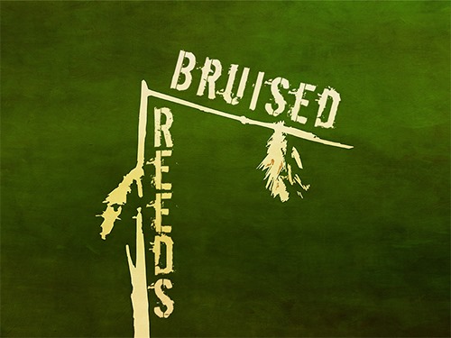 HealingTheBruises